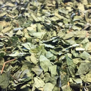 Desmodium